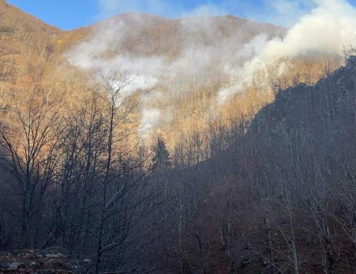 A luat foc din nou pădurea pe Valea Oltului la Câineni