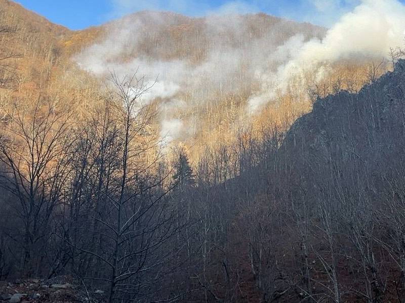 a luat foc din nou pădurea pe valea oltului la câineni