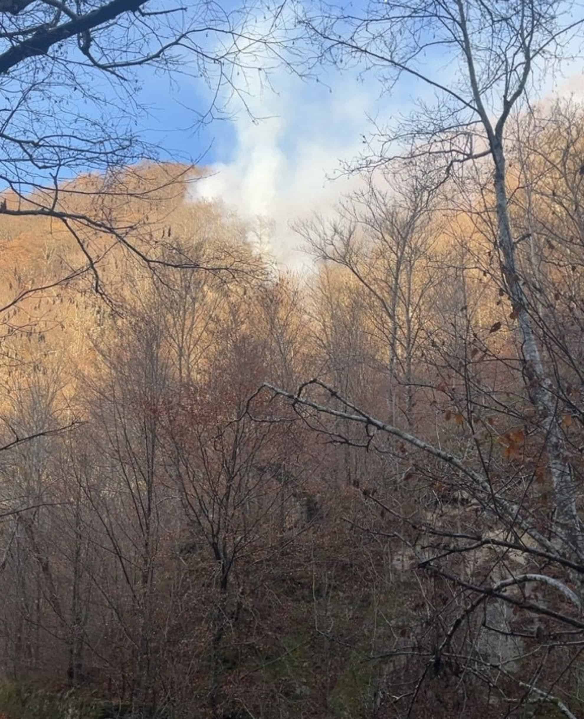 A luat foc din nou pădurea pe Valea Oltului la Câineni