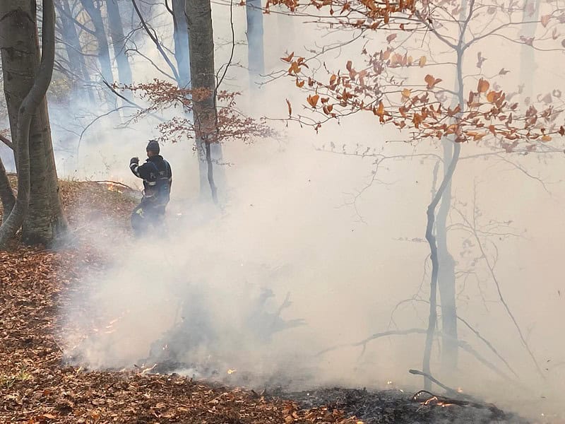 incendiul de pădure de pe valea oltului de la câineni. pompierii luptă de 4 zile cu focul (video)