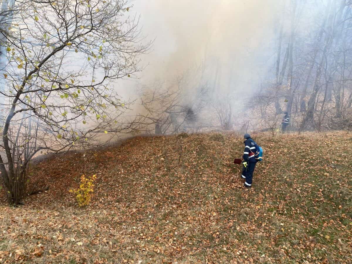 a luat foc din nou pădurea pe valea oltului la câineni