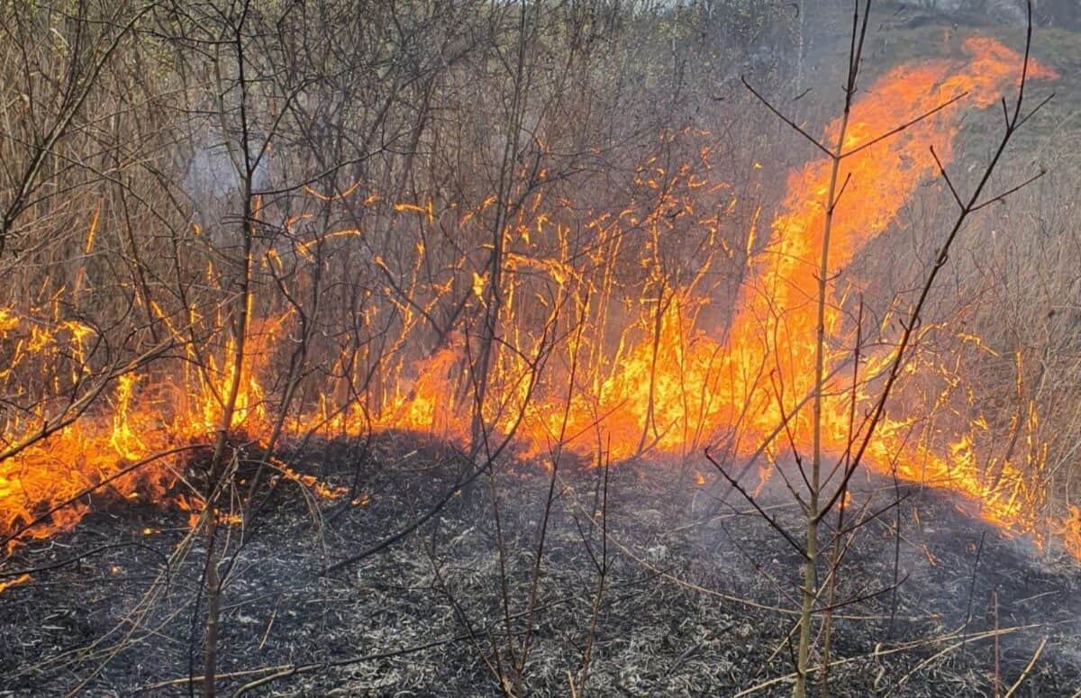 câmp în flăcări la mohu. incendiul s-a întins pe 4 hectare