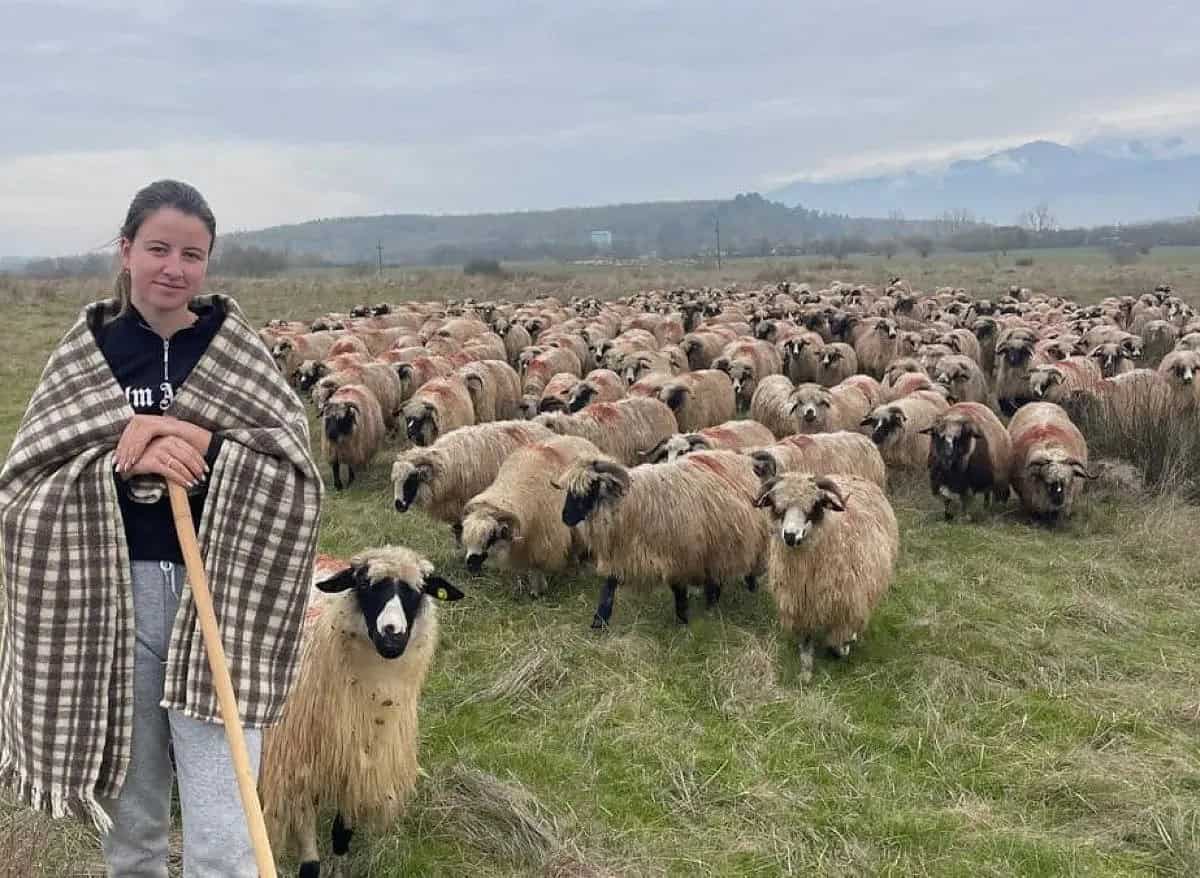 De la facultate la stână. Mihaela Lupescu, tânăra din Boița care duce mai departe tradiția oieritului (foto)