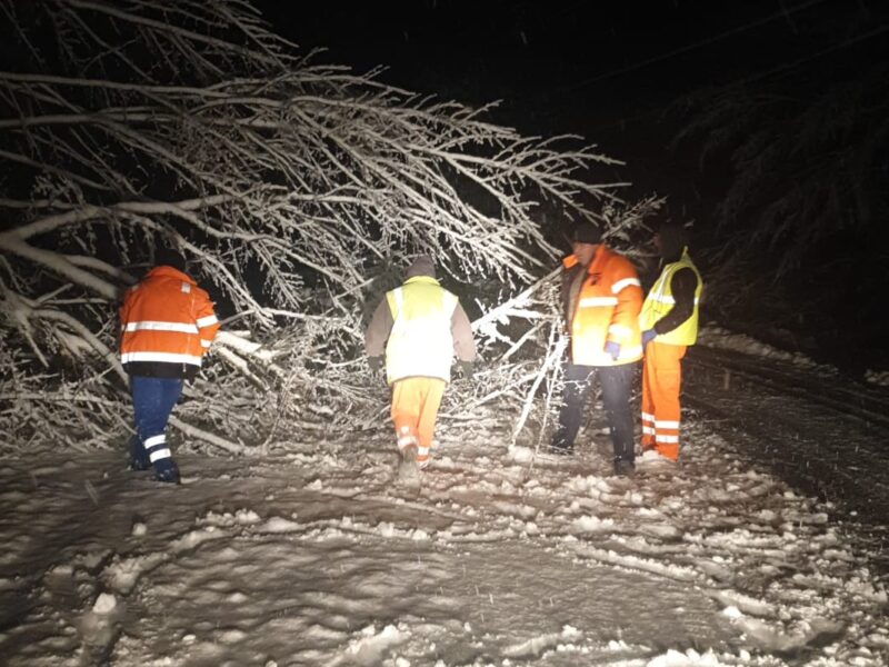 ninge pe toate drumurile naționale și pe autostrada a1 în județul sibiu. aproape 340 de tone de sare împrăștiate de utilaje și copac căzut pe transfagarasan (video)