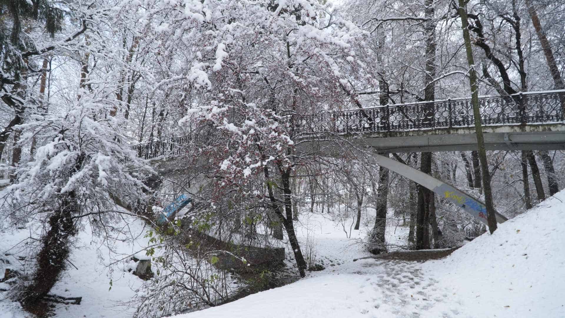 Imagini de basm din Parcul Sub Arini, acoperit de zăpadă. Copiii au mers la derdeluș