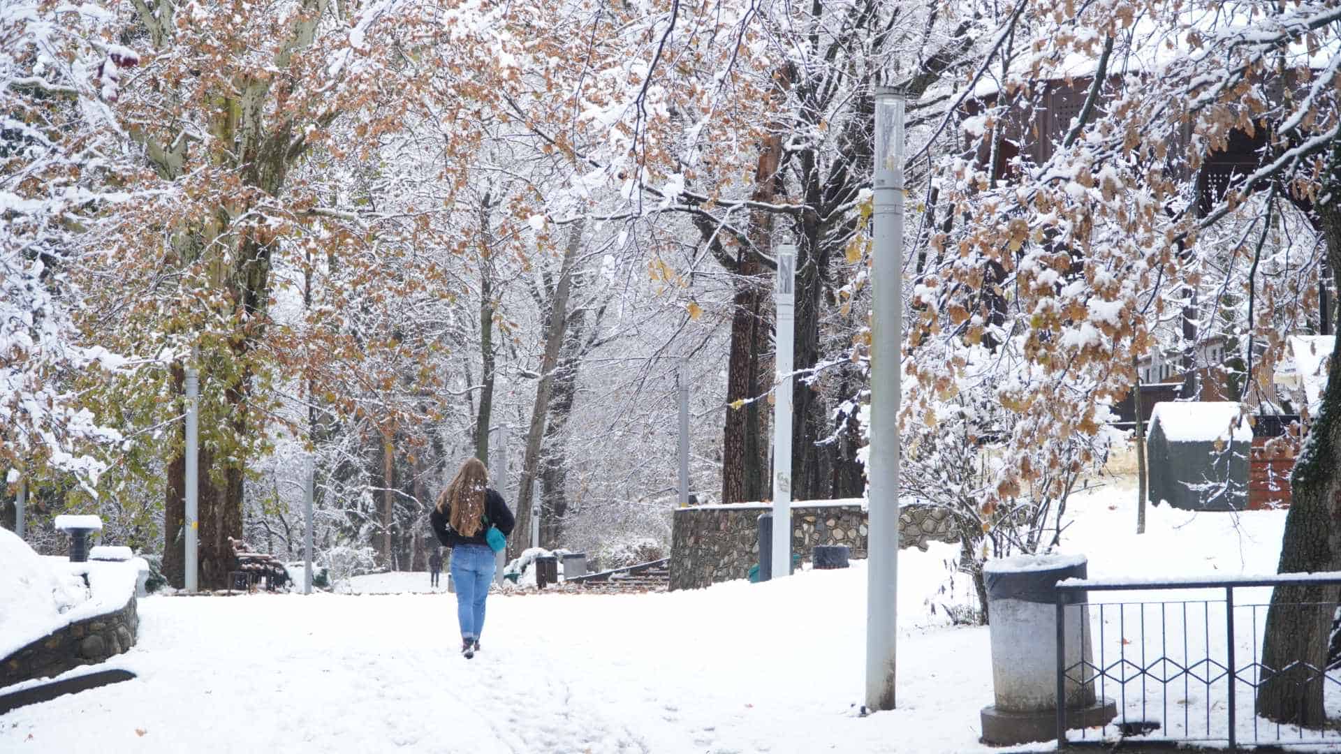 Imagini de basm din Parcul Sub Arini, acoperit de zăpadă. Copiii au mers la derdeluș