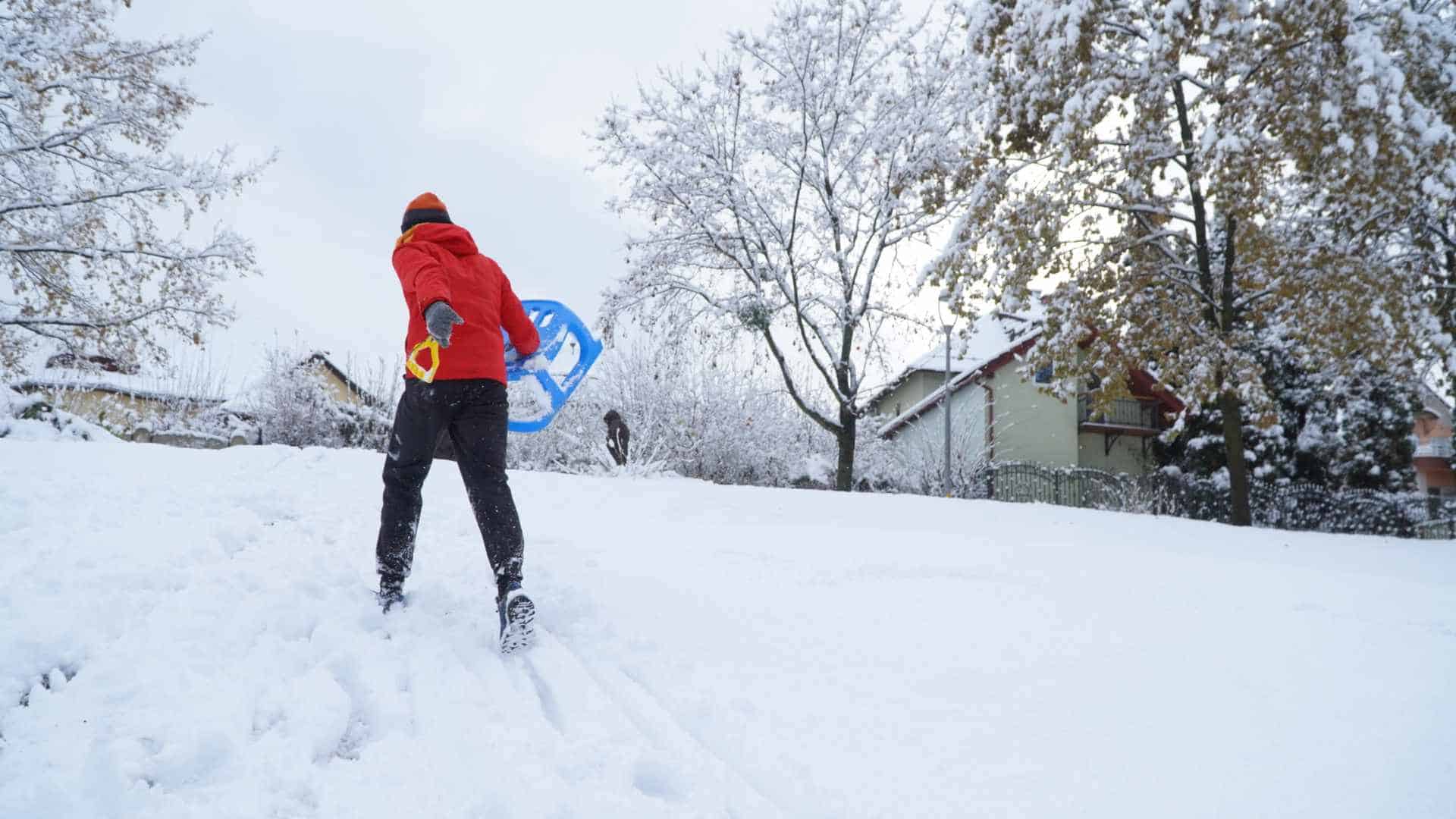 Imagini de basm din Parcul Sub Arini, acoperit de zăpadă. Copiii au mers la derdeluș