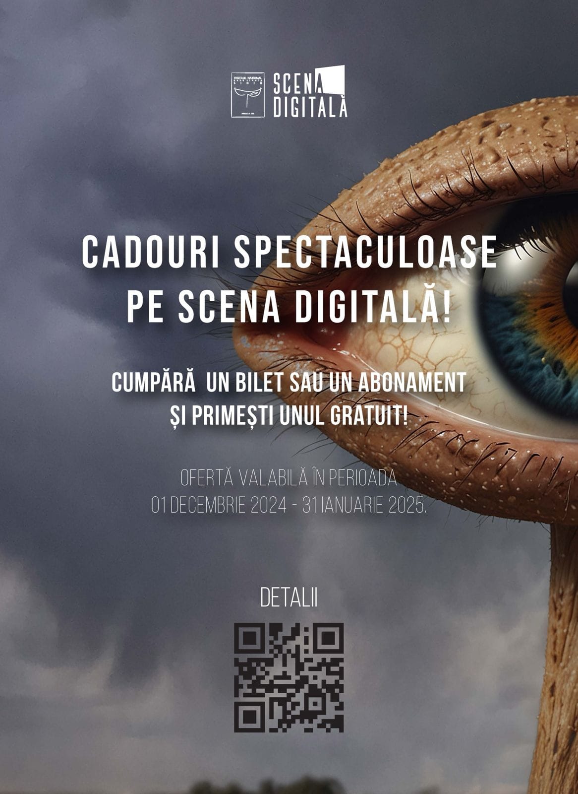 Pachete speciale de Sărbători pentru platforma online a teatrului Radu Stanca