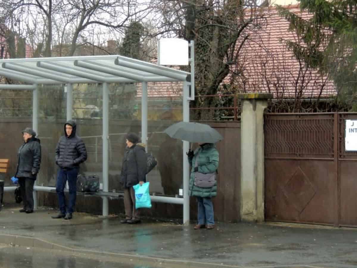 tursib caută o firmă care să igienizeze și să repare stațiile de autobuz din oraș