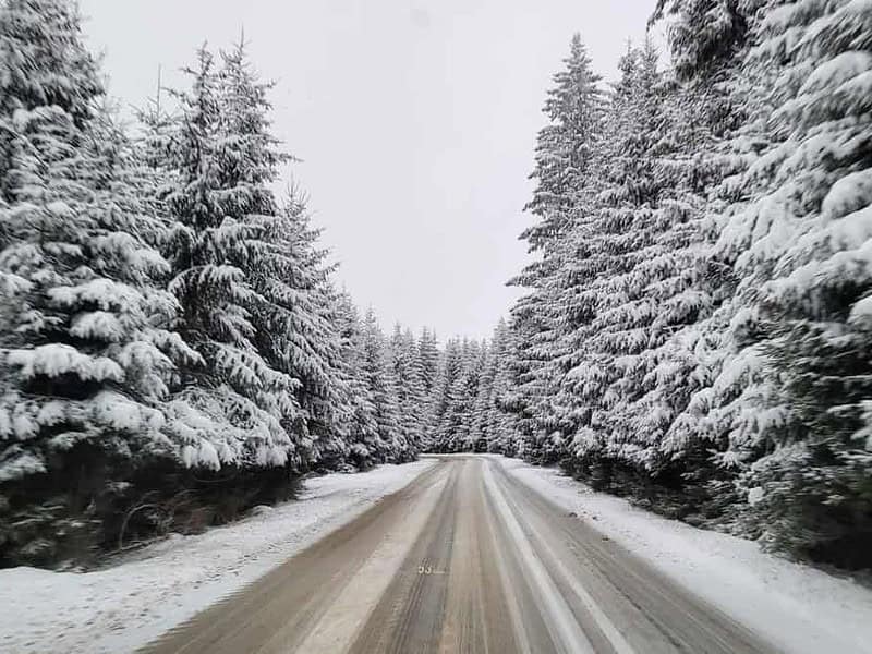 Cod galben de ninsori în sudul județului Sibiu