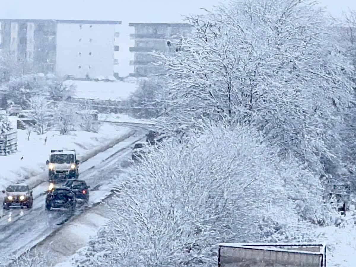 trafic îngreunat în sibiu din cauza ninsorilor. pe ștefan cel mare a căzut un stâlp iar spre rasinari și cisnădioara sunt copaci căzuți pe drum (video foto)