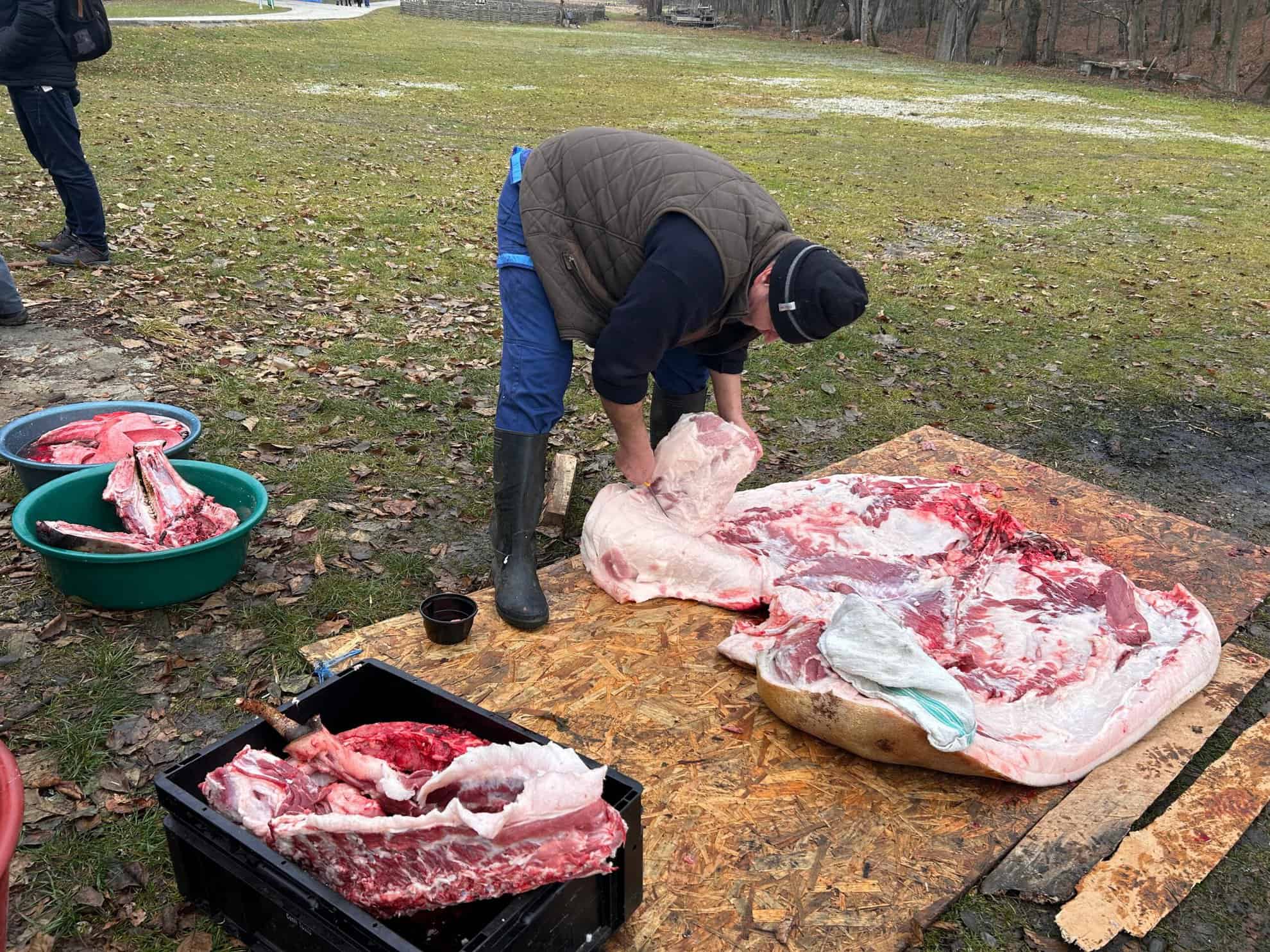 Zeci de pofticioși au venit în Muzeul Astra, la pomana porcului. „Este super fain” (foto, video)