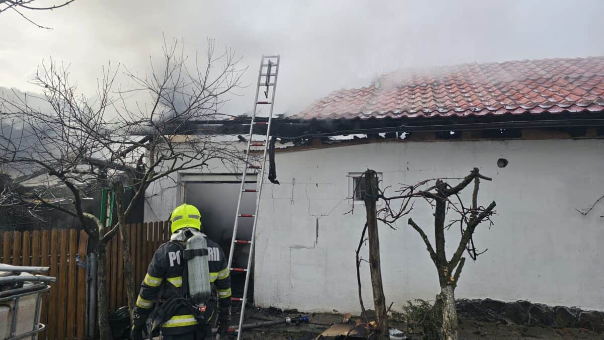 Incendiu într-o afumătoare din Valea Viilor