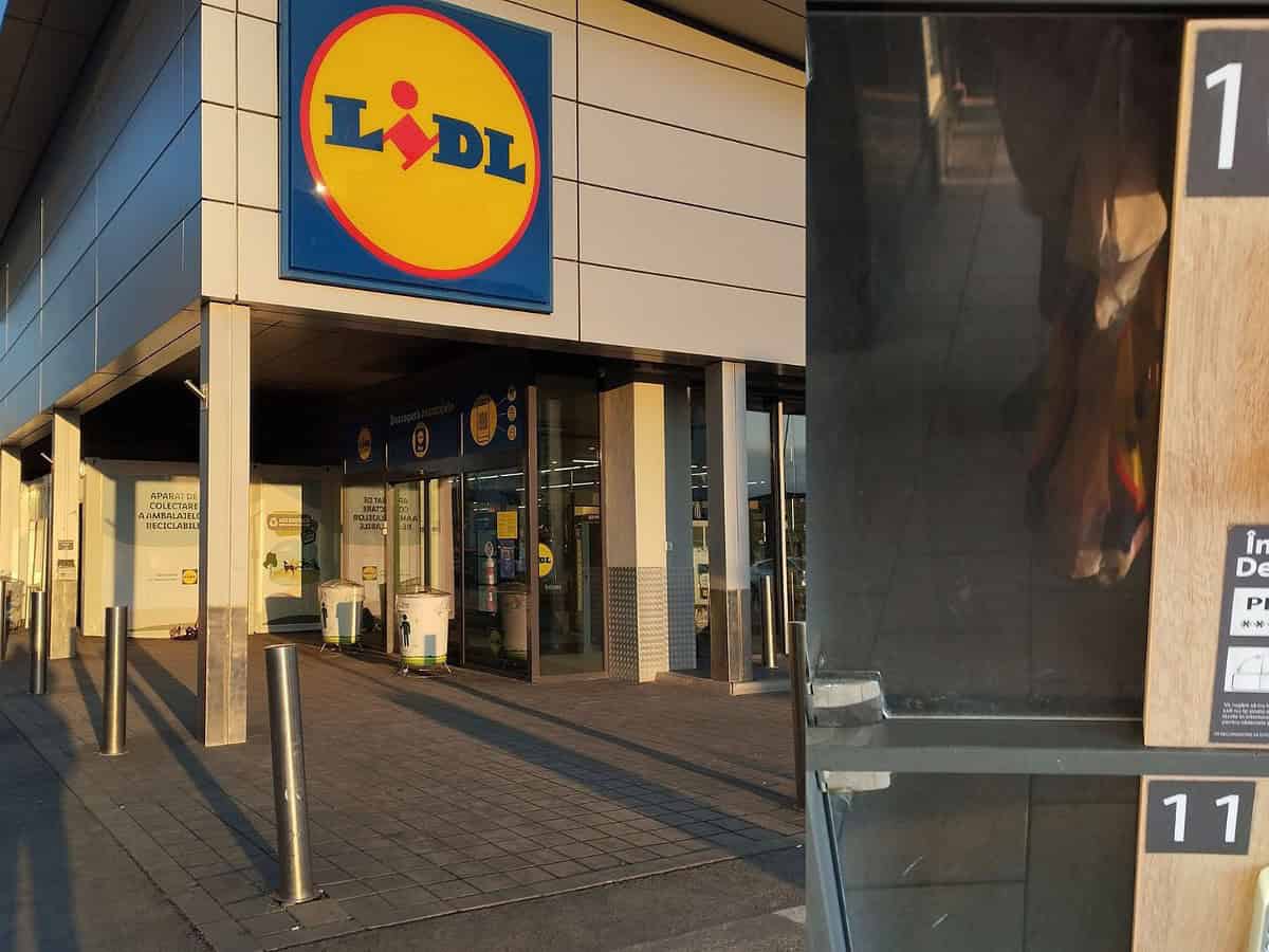 Se fură ca în codru din dulapurile cu cifru la Sibiu. La LIDL un client a prins hoțul cu mâna pe bagaje (foto)