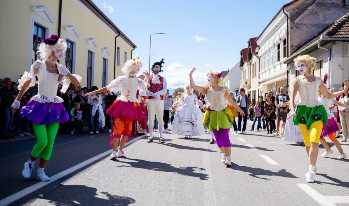 Consiliul Județean Sibiu organizează dezbateri publice pe marginea ghidurilor de finanțare a Agendelor comunității