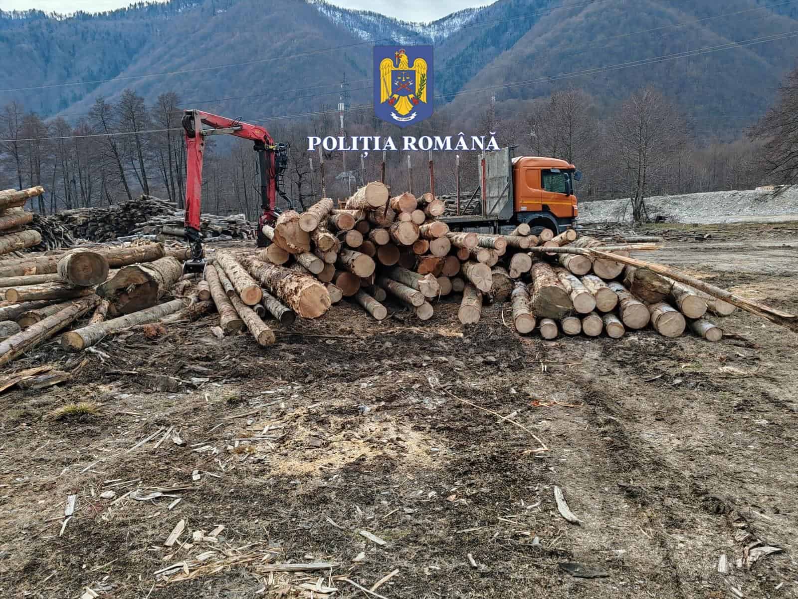 Lemne fără acte descoperite într-un depozit de pe Valea Oltului. Autoritățile le-au confiscat (foto)