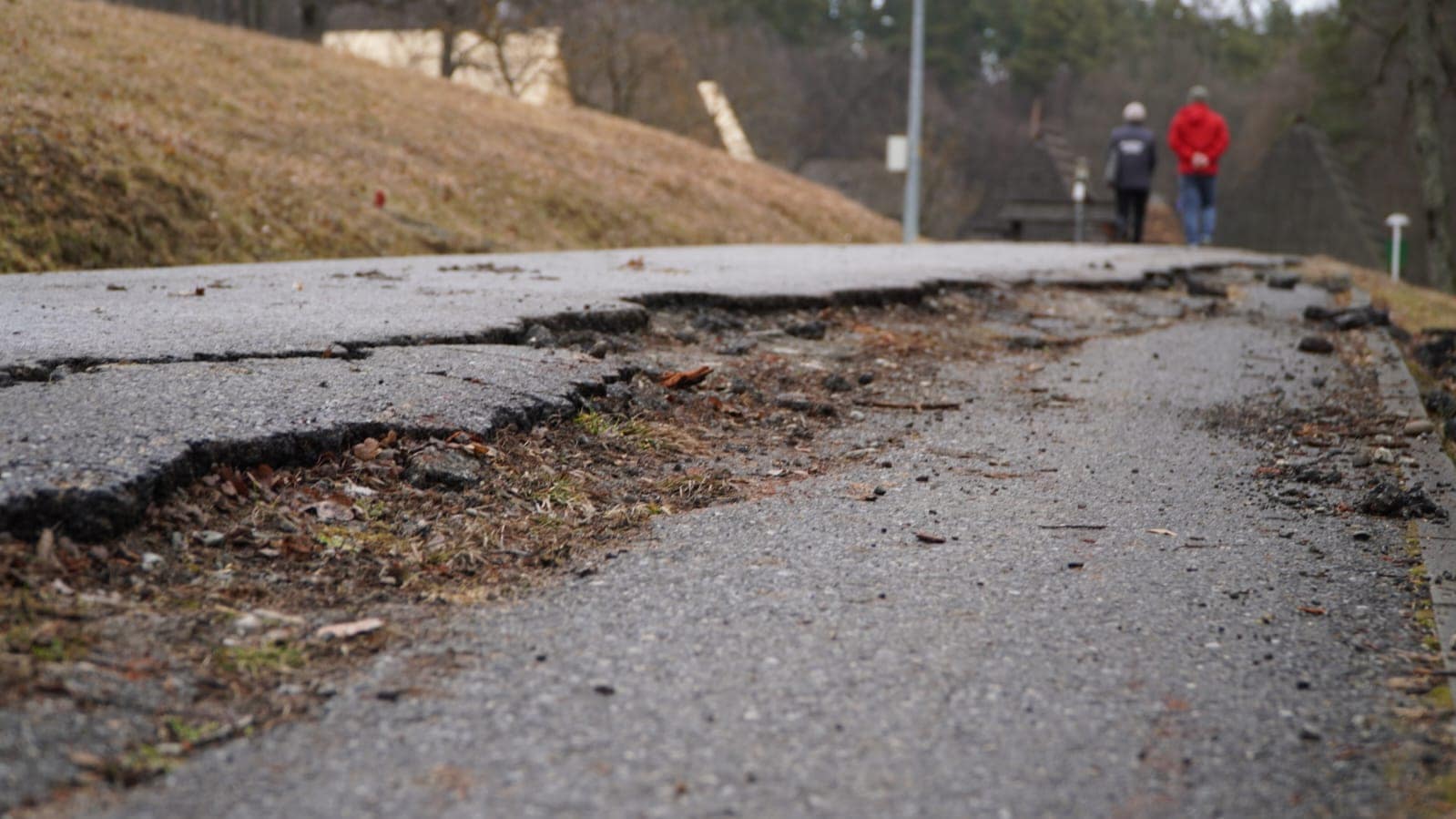 Aleile de la Muzeul în Aer Liber vor fi modernizate. Ciprian Ștefan: „Trebuie să le punem la punct” (foto)