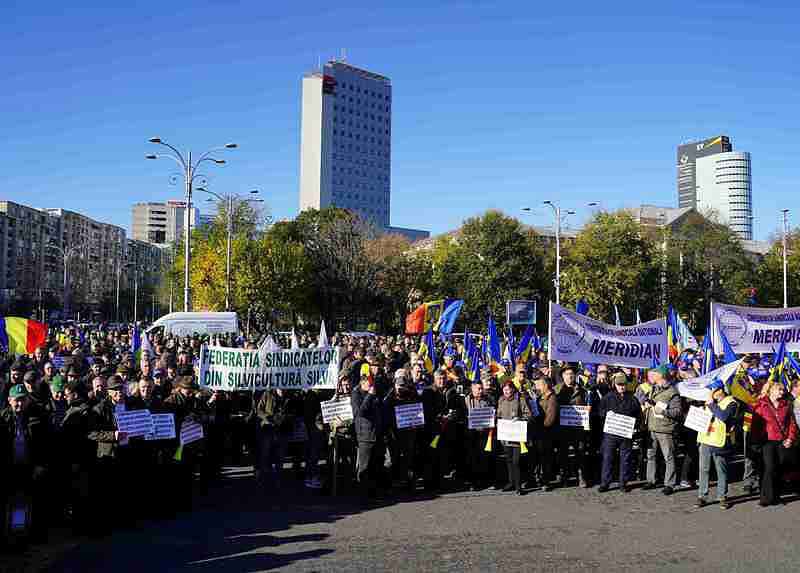 Protest al silvicultorilor toată țara. Se demarează și o grevă de avertisment